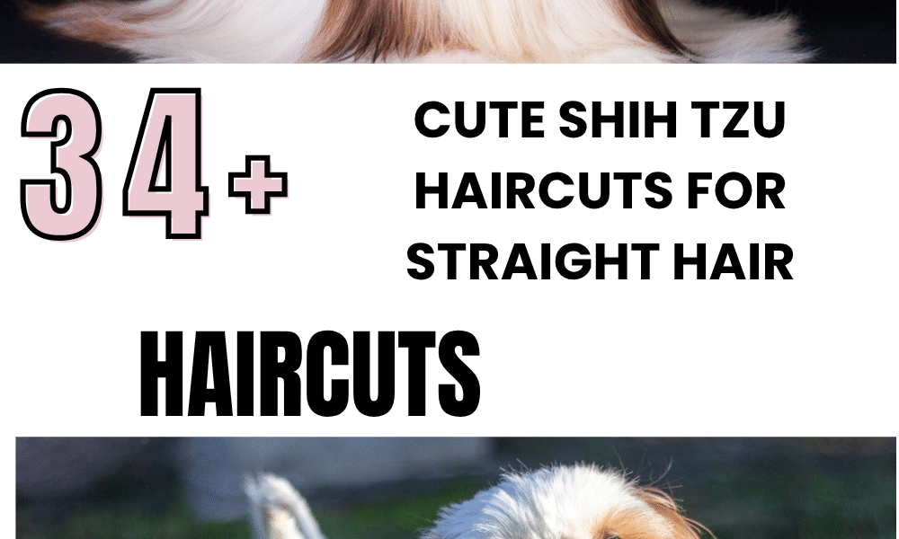 Cute Shih Tzu Haircuts for Straight Hair