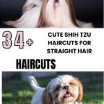 Cute Shih Tzu Haircuts for Straight Hair