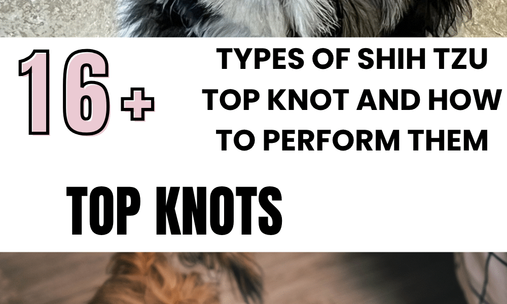 types of Shih Tzu top knots