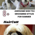 Awesome Shih Tzu Grooming Styles For Summer