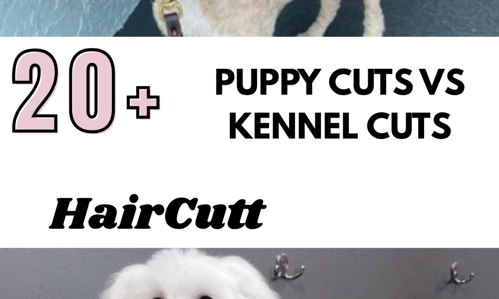 Puppy Cuts vs Kennel Cuts
