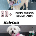 Puppy Cuts vs Kennel Cuts