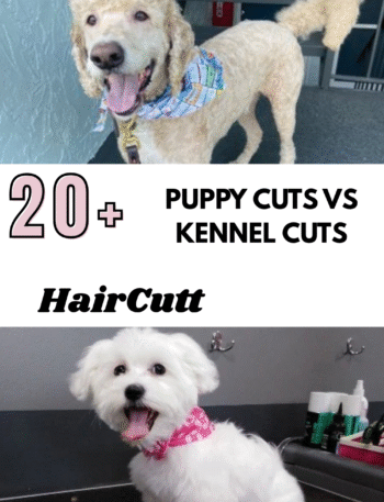 Puppy Cuts vs Kennel Cuts