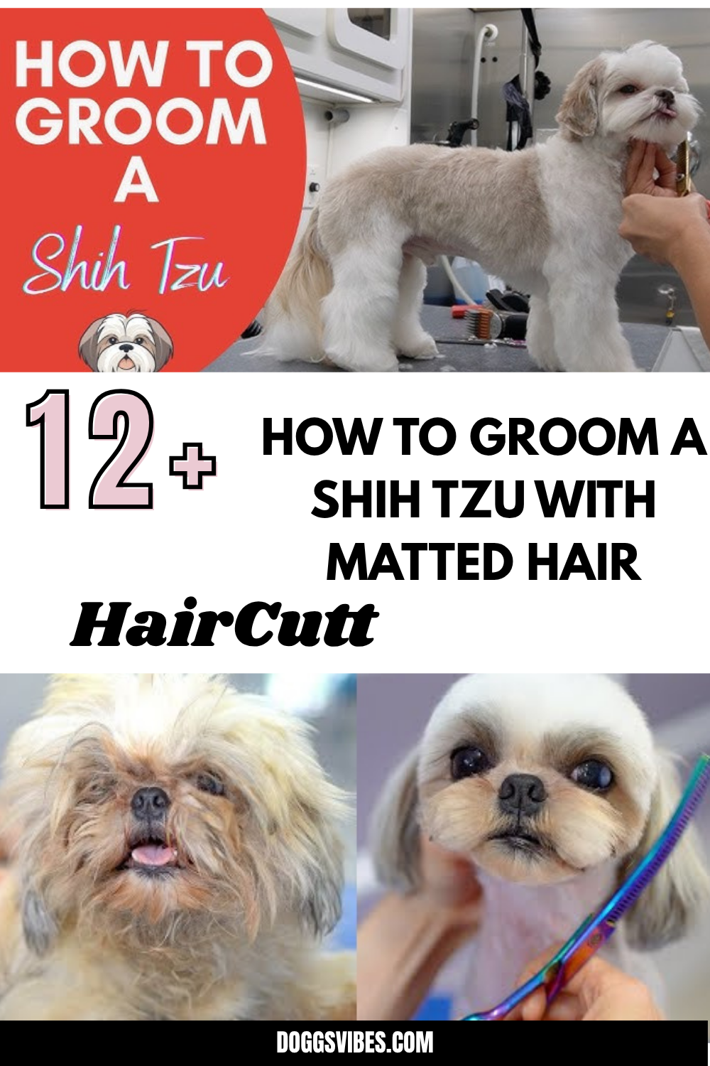 Grooming Tips for Shih Tzu to Keep Their Coat Healthy and Shiny