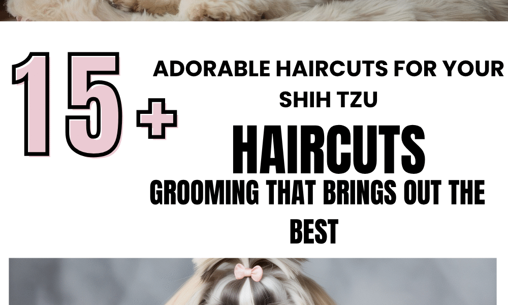 Adorable Haircuts for Your Shih Tzu