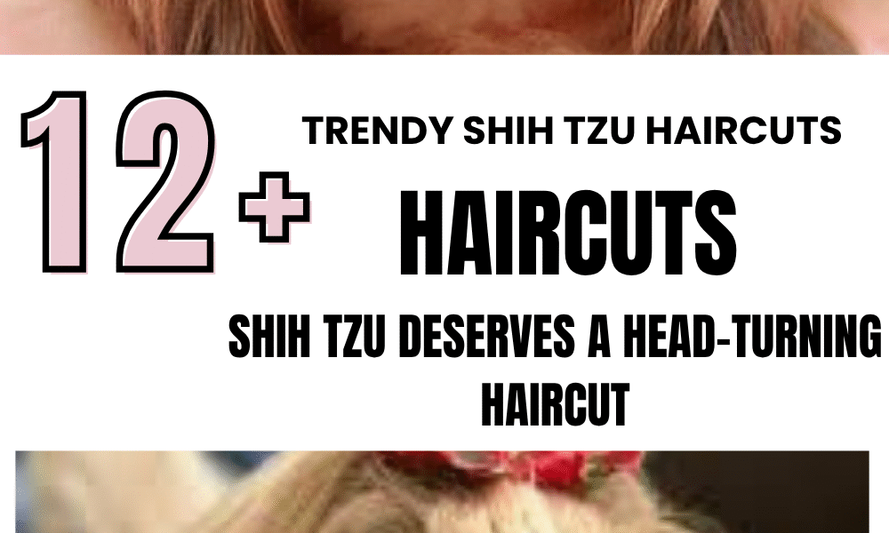 Trendy Shih Tzu Haircuts