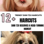 Trendy Shih Tzu Haircuts