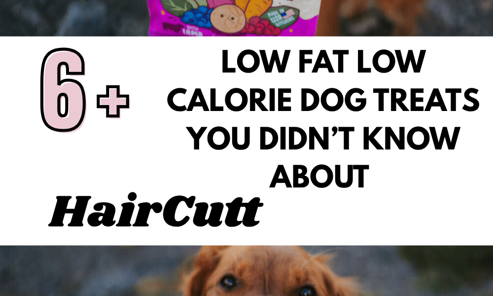 Low Fat Low Calorie Dog Treats You Didn’t Know About