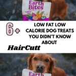 Low Fat Low Calorie Dog Treats You Didn’t Know About