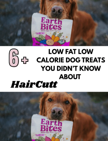 Low Fat Low Calorie Dog Treats You Didn’t Know About