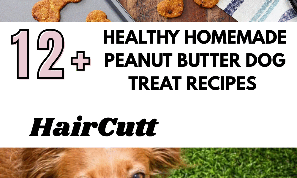 Healthy Homemade Peanut Butter Dog Treat Recipes