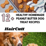 Healthy Homemade Peanut Butter Dog Treat Recipes