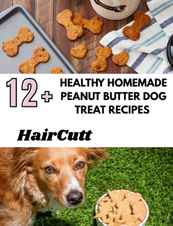 Healthy Homemade Peanut Butter Dog Treat Recipes