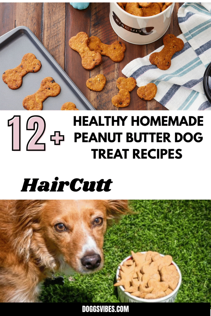 Golden Retriever Owners | What healthy food do you recommend/are you ...