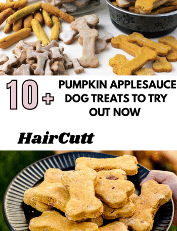 Pumpkin Applesauce Dog Treats To Try Out Now