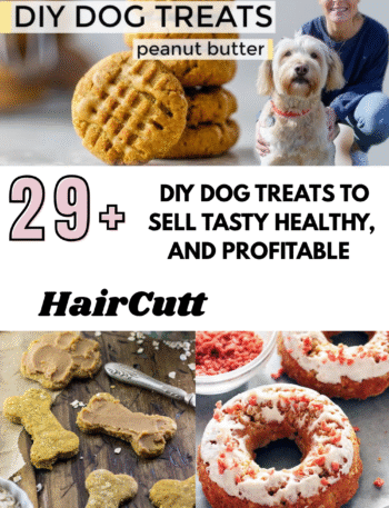 DIY Dog Treats to Sell Tasty Healthy and Profitable