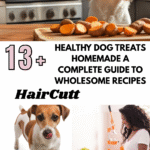 Healthy Dog Treats Homemade