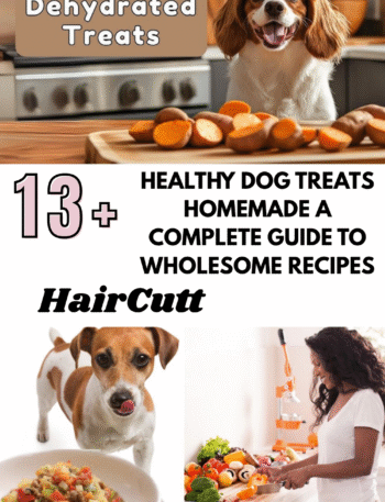Healthy Dog Treats Homemade