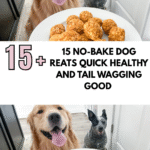15 No-Bake Dog Treats Quick Healthy and Tail Wagging Good