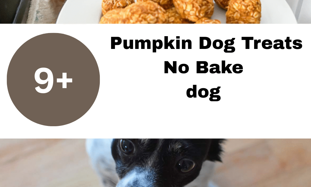 Pumpkin Dog Treats No Bake