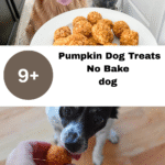 Pumpkin Dog Treats No Bake