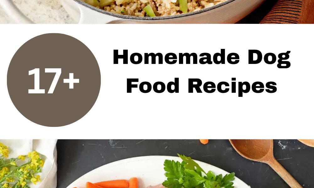 Homemade Dog Food Recipes