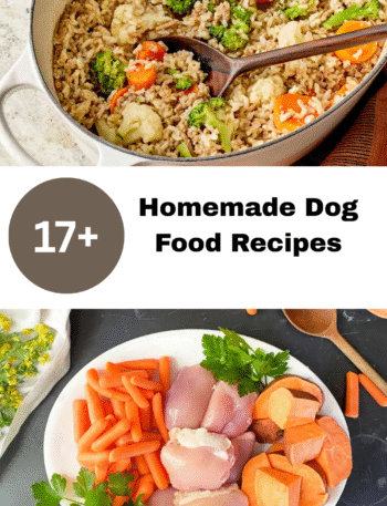 Homemade Dog Food Recipes