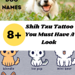 Cute Dog Names