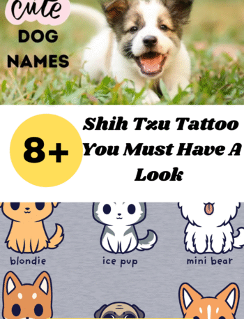 Cute Dog Names