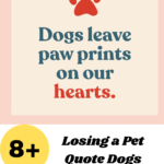 Losing a Pet Quote Dogs