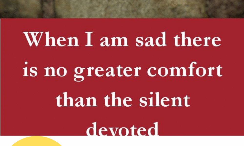 Touching Dog Quotes