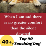 Touching Dog Quotes