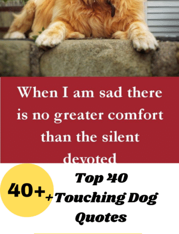 Touching Dog Quotes