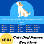 Cute Dog Names Boy Ideas