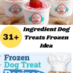 Ingredient Dog Treats Frozen Idea