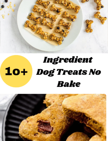 Ingredient Dog Treats No Bake