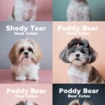Poodle Teddy Bear Cute